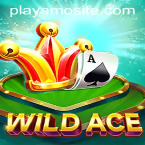 Exploring the Thrills of WildAce: A PlayAmo Gaming Experience